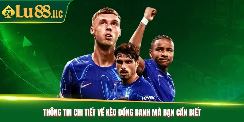 Thông tin chi tiết về kèo đồng banh mà bạn cần biết
