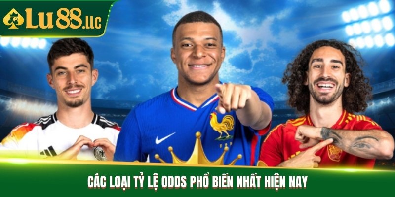 Các loại tỷ lệ odds phổ biến nhất hiện nay