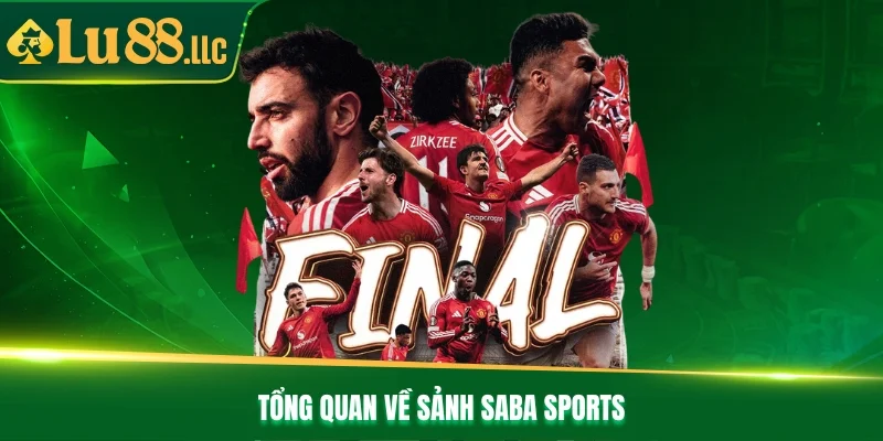 Tổng quan về sảnh Saba Sports