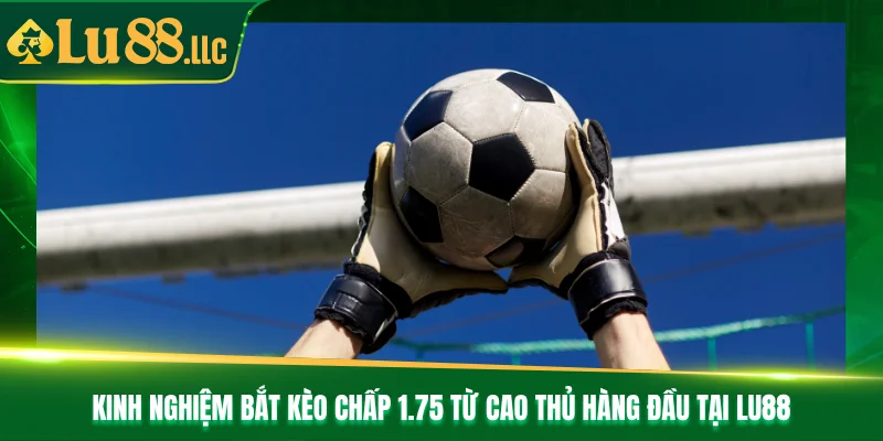 Kinh nghiệm bắt kèo chấp 1.75 từ cao thủ hàng đầu tại Lu88