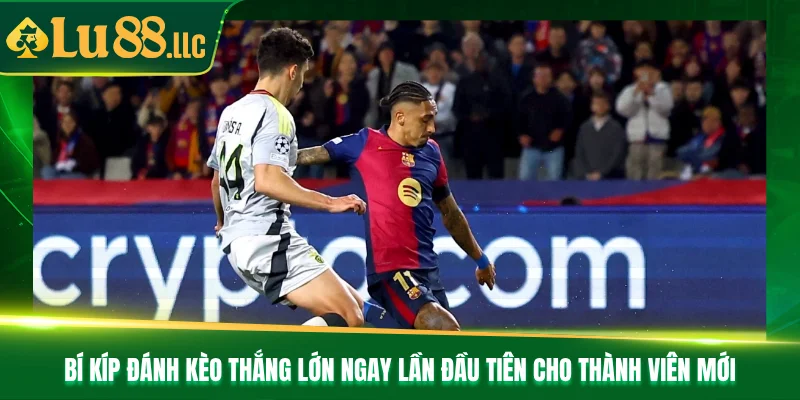 Bí kíp đánh kèo thắng lớn ngay lần đầu tiên cho thành viên mới